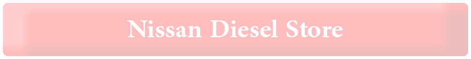 Nissan Diesel Store